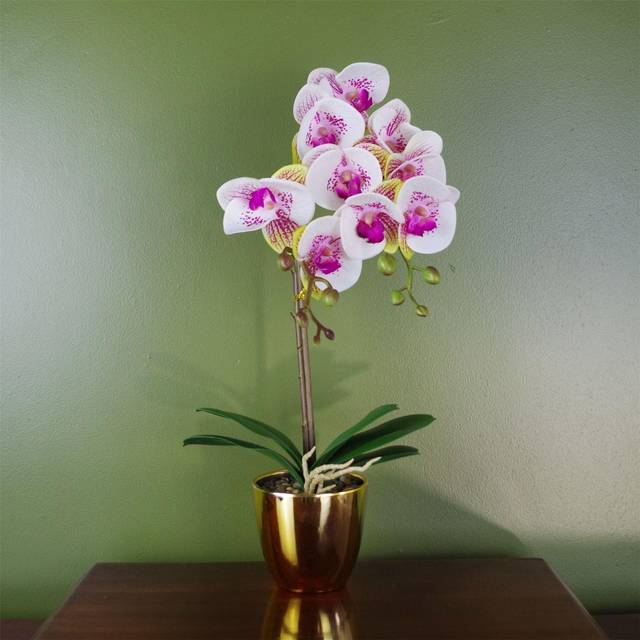 Orchid in Pot - White (48cm H X 20cm W X 20cm D)