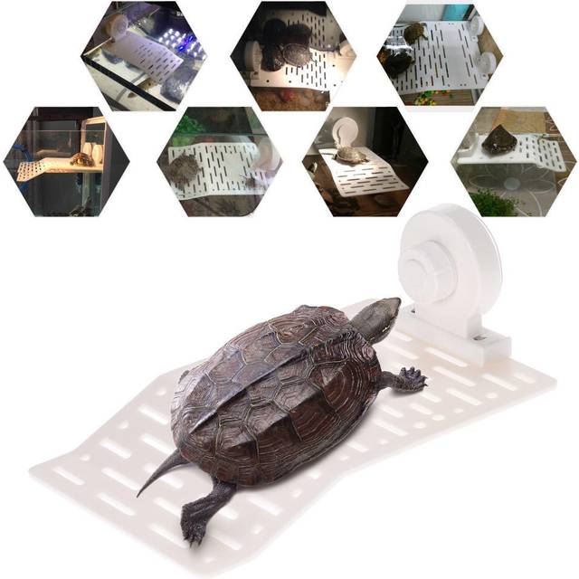 Aquarium Tank Turtle Basking Platform Dock flytande för amfibiesköldpadda med sugkopp L Size
