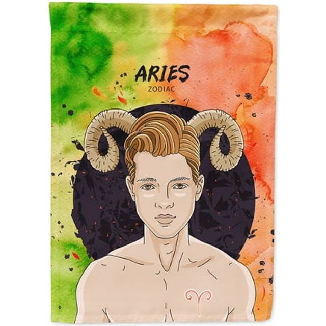 Caroline's Treasures BB7317CHF Aries Zodiac Sign Decorative House Flag  Size  Multicolor