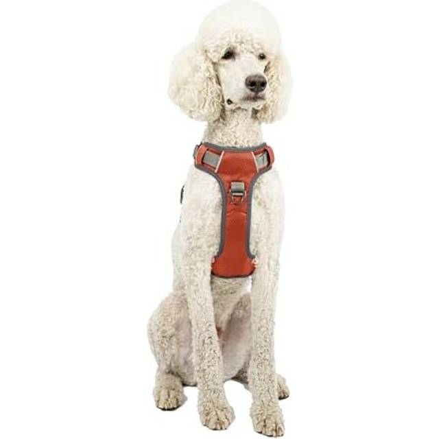 Adventure Dog Harness, No Pull Dog Harness with 2 Leash Clips, Dog Harness Medium Anti Pull Dog Harness Front & Back with Control Handle, Adjustable,