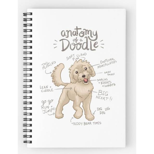 Spiral Notebook Anatomy of a Doodle A5 120 Pages