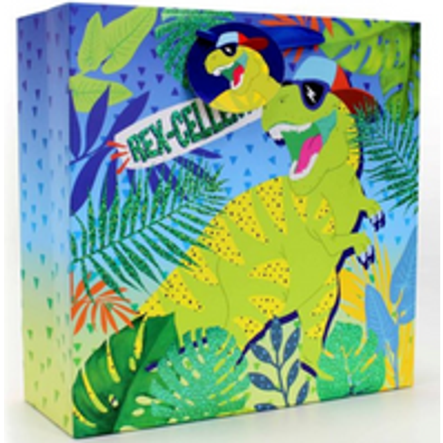 Dinosaur Gift Bag Square Jumbo