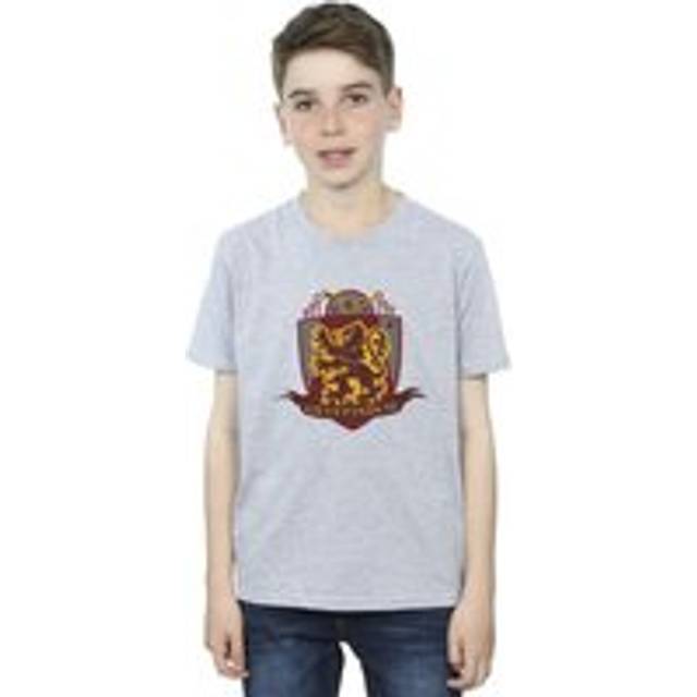 Gryffindor Chest Badge T-Shirt - Grey - 5-6 Years