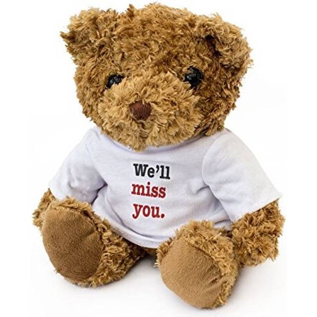 NEW - WE'LL MISS YOU - Teddy Bear - Cute Soft Cuddly - Leaving Gift Present