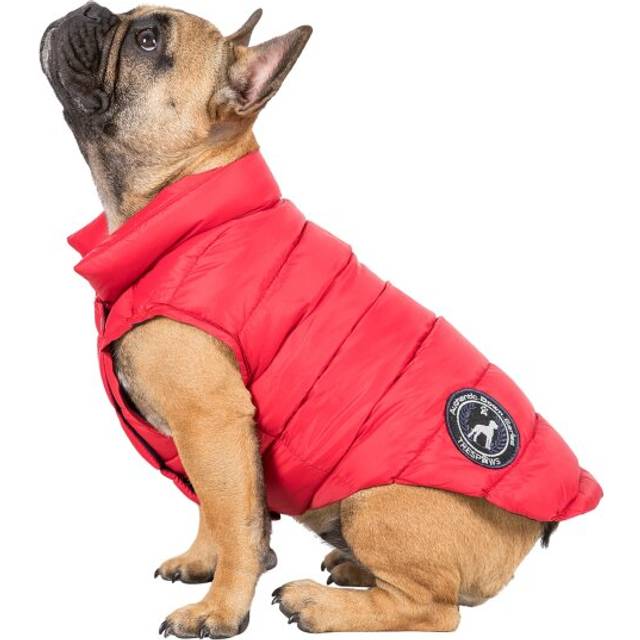 Trespaws Down Dog Jacket Dogby