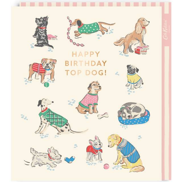 Cath Kidston Top Dog Birthday Card - beige/green/blue - one size