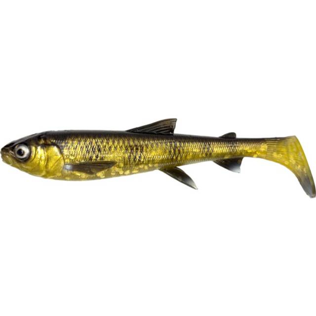 3D Whitefish Shad