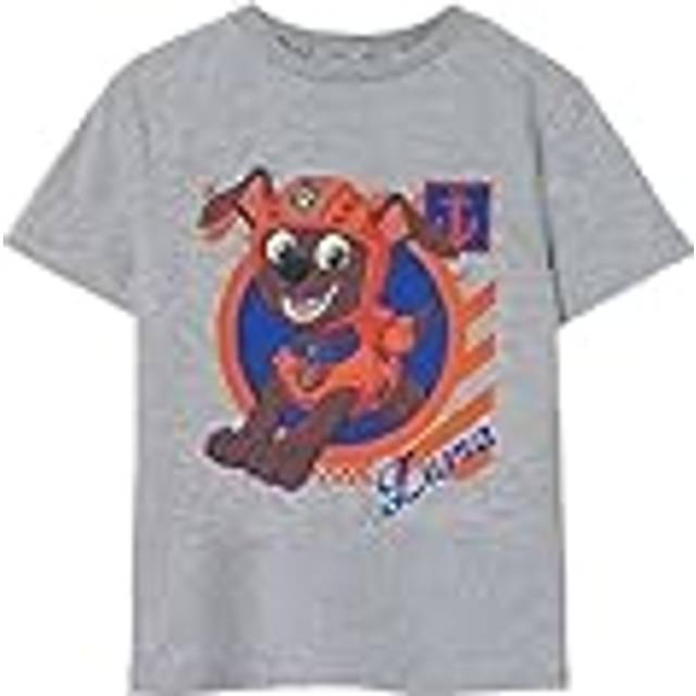 (7-8 Years) Paw Patrol Short Sleeved T-Shirt (Boys Grey)