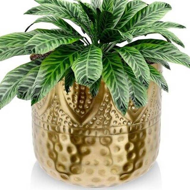 Unique plant pot in hammered brass with an eye-catching design
