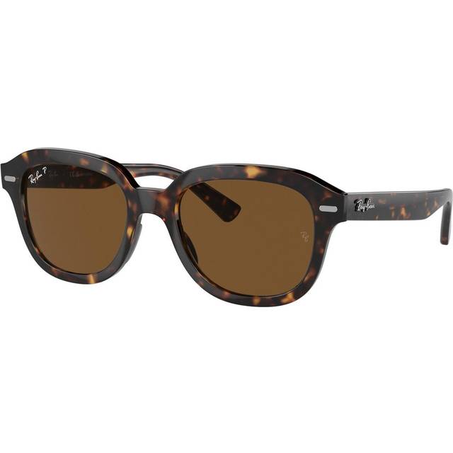 Sunglasses RB4398F ERIK HAVANA BROWN Lens 53 [Ray-Ban] Frame/POLAR