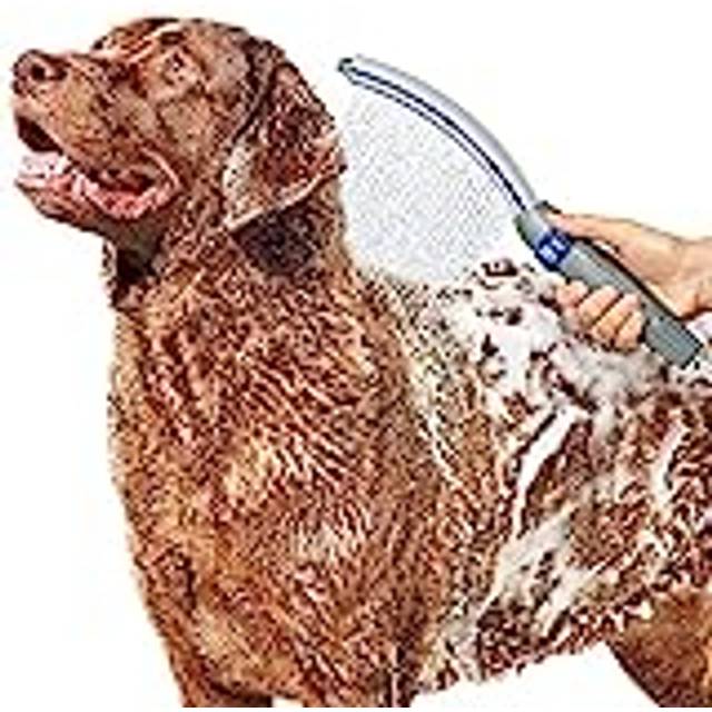 Waterpik Pet Wand Pro hundduschfäste för snabb och enkel hundbad och rengöring, inomhus- och utomhusspruta inkluderar 8-fots flexslang, blå/grå, PPR-252E