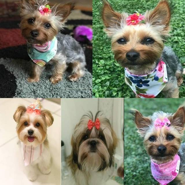 50pcs/Pack Dog Hair Bows Pairs Rhinestone Pearls Flowers Topknot Mix Styles Dog Bows Pet Grooming Products