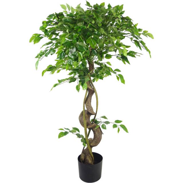 Leaf Artificial Japanese Fruticosa Tree Twisted Ficus 120Cm UK, Green