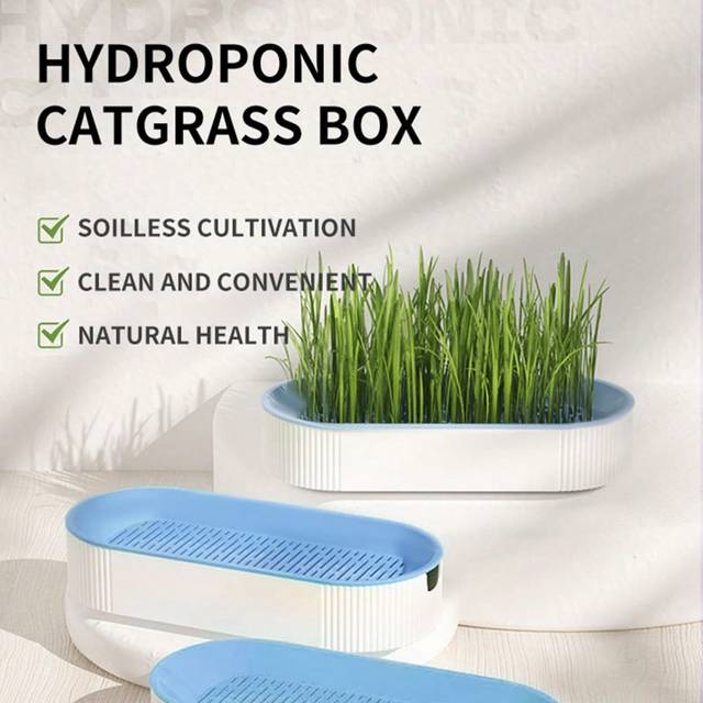 SHEIN 1pc Blue Pet Supplies Catnip Snacks & Mint Plant Hydroponic Box Cat Grass Basin & Box Set Without Seeds