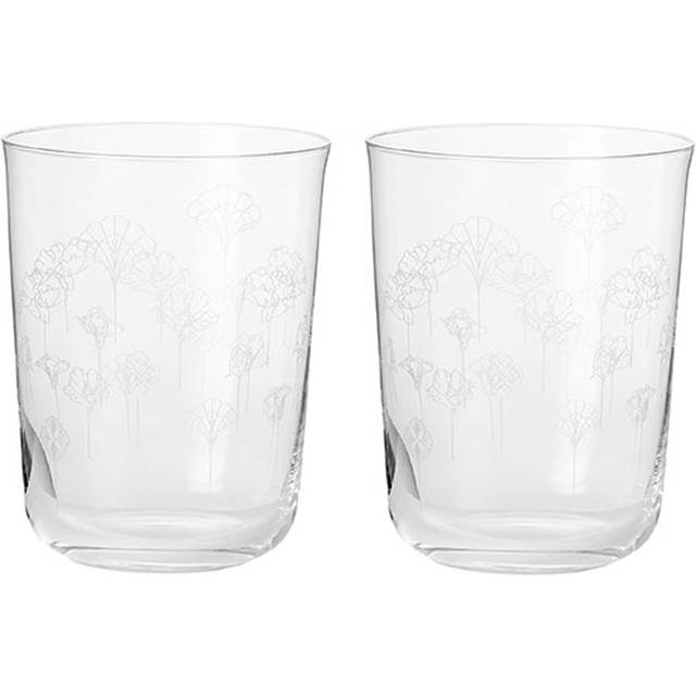 Flower vattenglas 2-pack - Transparent