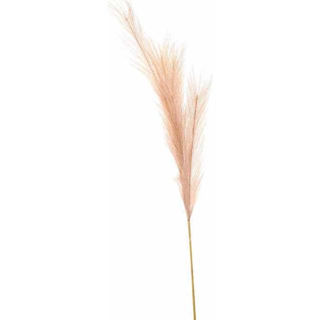 Faux Pampas Grass Stem