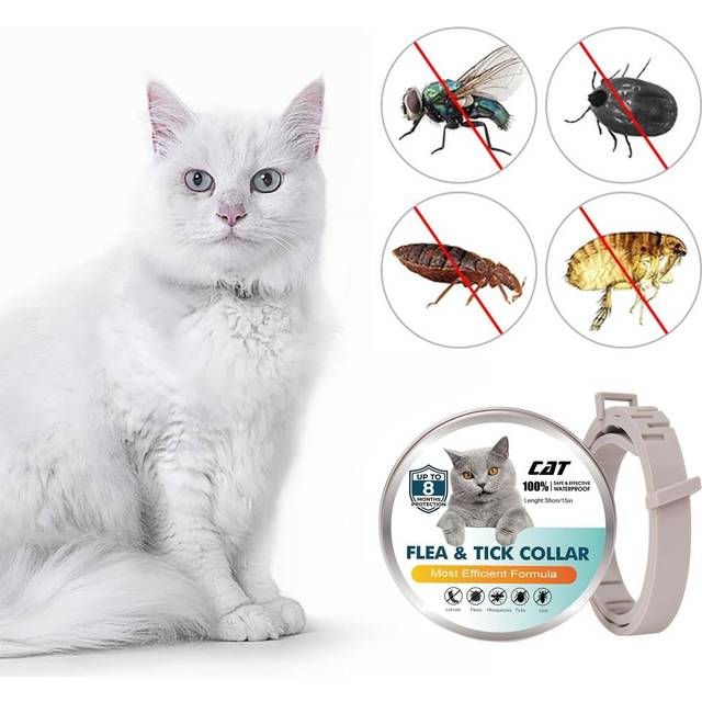 38/62CM Collar Dogs Cats Ticks And Flea Treatment 8 Months Pets Protection 3 PCS grey