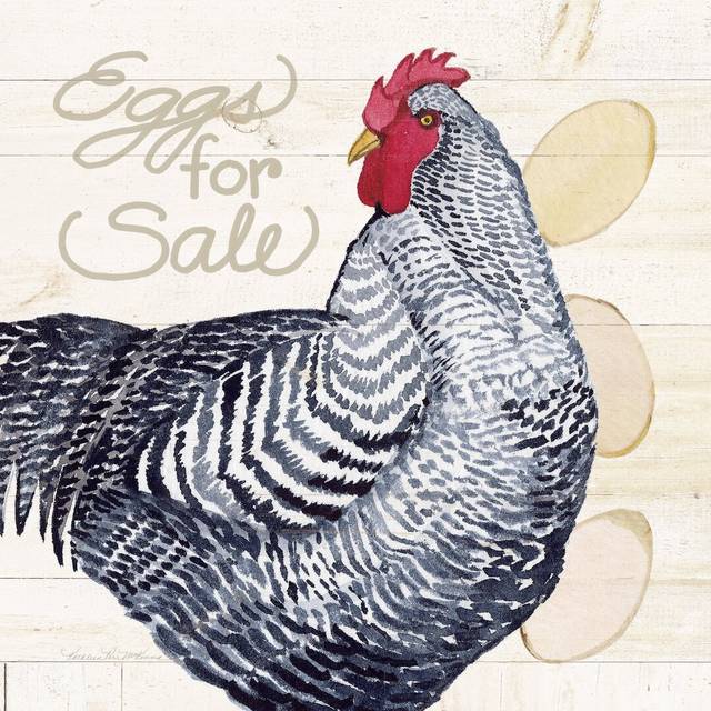 Life on the Farm Chicken I by Kathleen Parr McKenna - Wrapped Canvas Graphic Art Print (30cm H x 30cm W x 3.8cm D)