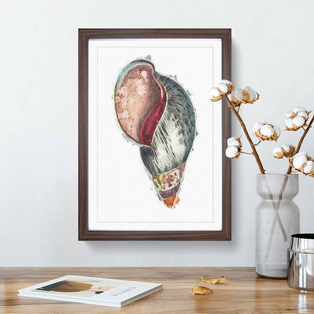 Colourful Seashell by George Shaw - Picture Frame Painting - Walnut Framed (65cm H x 48cm W x 2cm D)