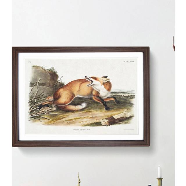 Red Fox Caught in a Trap by J.W. Audubon - Picture Frame Painting Print - Walnut Framed (27cm H x 36cm W x 2cm D)