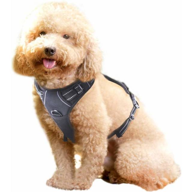 Rabbitgoo No Pull Dog Harness Small, Front Loading Pet Vest Harness with Handle Strong Adjustable Dog Padded Harness Reflective Mesh Lightweight...