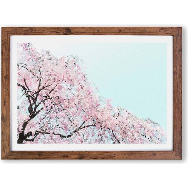 'Pink Cherry Blossom Tree' by Unknown - Picture Frame Painting Print on Paper - Walnut (33cm H x 45cm W x 2cm D)