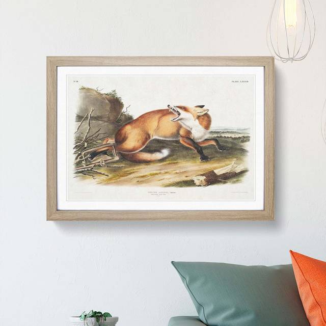 Red Fox Caught in a Trap by J.W. Audubon - Picture Frame Painting Print - Oak Framed (27cm H x 36cm W x 2cm D)