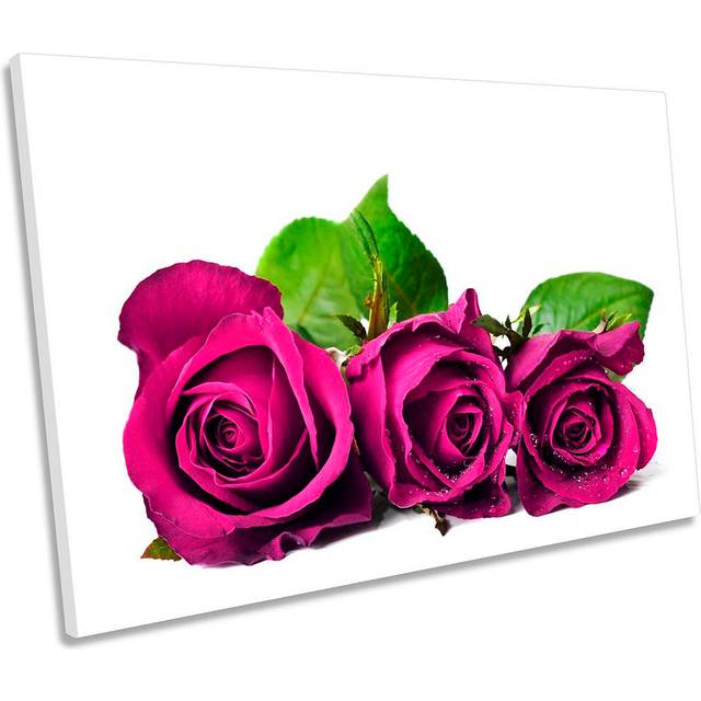 Rose Floral Flowers - Wrapped Canvas Graphic Art (50.8cm H x 76.2cm W x 2cm D)