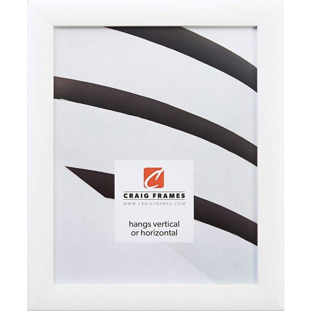 craig Frames contemporary, 22x28 Picture Frame, White Satin