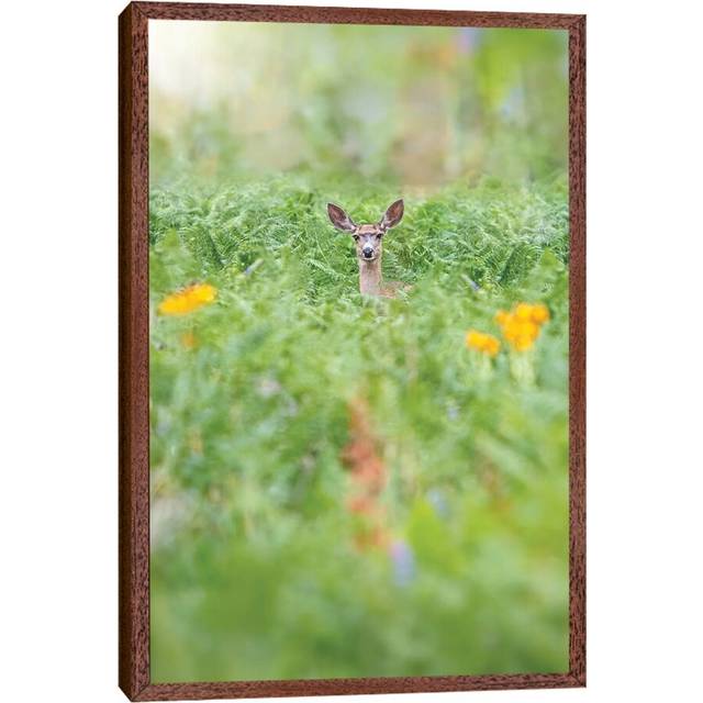 Finding Peace In Isolation - Brown Framed Canvas (101.6 cm H x 66.04 cm W)