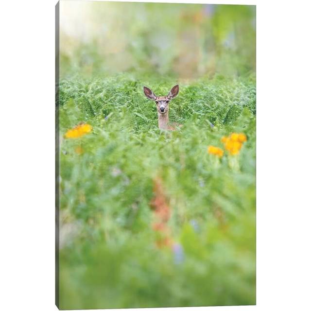 Finding Peace In Isolation - Wrapped Canvas (66.04 cm H x 45.72 cm W x 1.91 cm D)