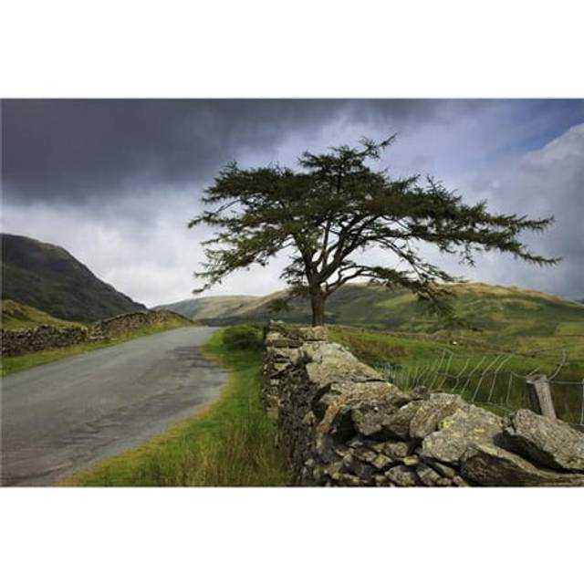 A Stone Fence Running Along A Road - Lake District, Cumbria, England Poster Print, 19 x 12