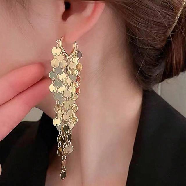SHEIN 1pair Simple Fashionable All-Match Exquisite Vintage Long Tassel Heart Dangle Earrings Valentines