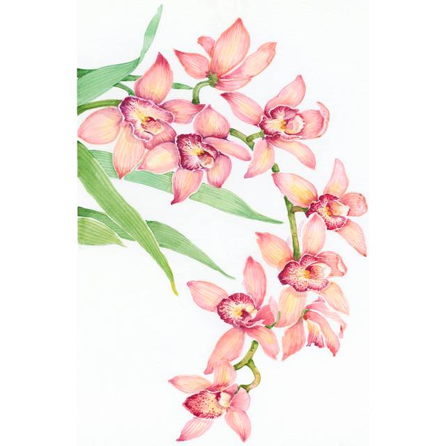 Exotic Flowers III (30cm H x 46cm W x 3.8cm D)