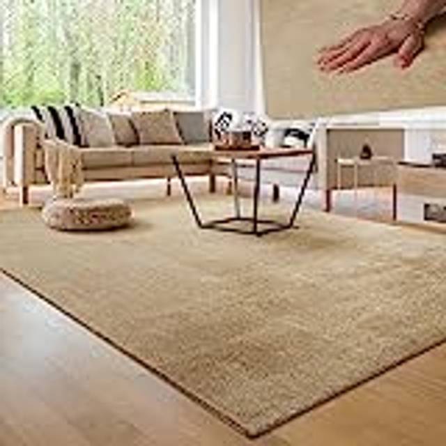 Paco Home Matta för vardagsrum enkel tvättbar mjuk kort hög, Storlek:80x150 cm, Färg:Beige 2
