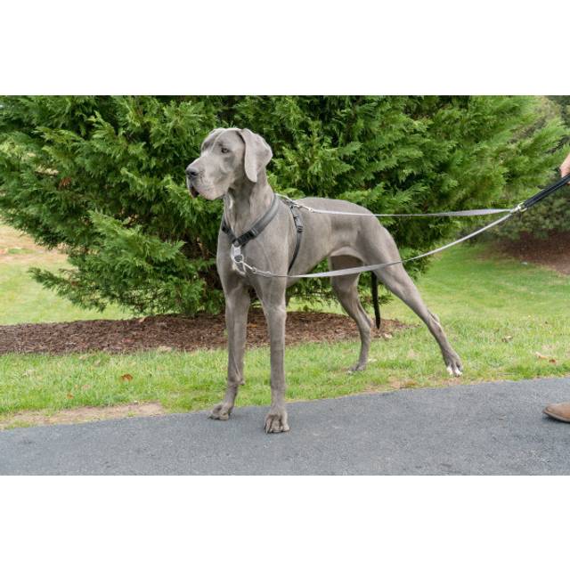 PetSafe Anti-Pull Dog Lead - Strong, Durable, Reflective Dog, Puppy Lead for PetSafe 3-in-1 Harnesses and Dogs of All Sizes