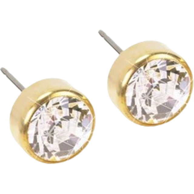Blomdahl örhängen BM GT Bezel 5 mm Crystal 1 par