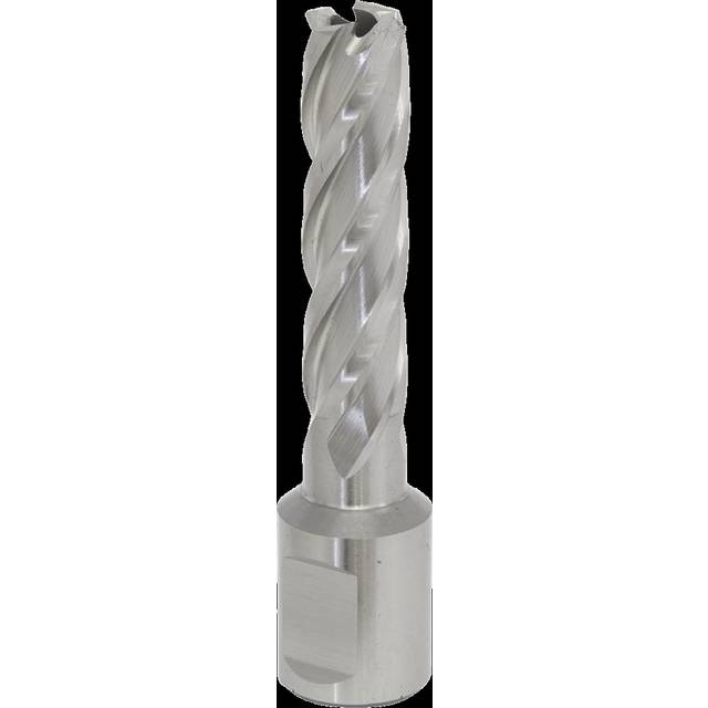 Worksafe RBHSS13L Rotabor Cutter HSS Ø13mm - Cut Depth 50mm