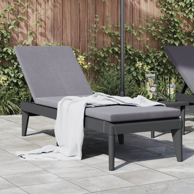 vidaXL Sun Lounger with Cushion Anthracite 186x60x29 cm PP