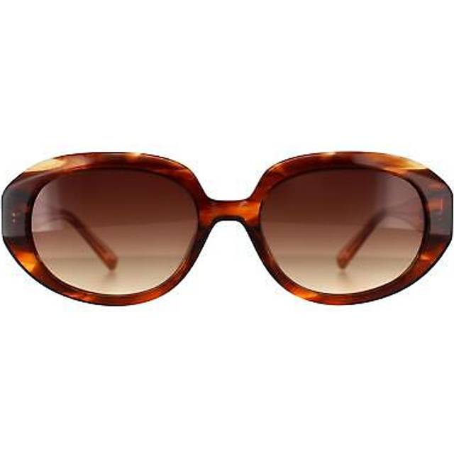 Ted Baker TB1689 104 54 Bruna Solglasögon Män