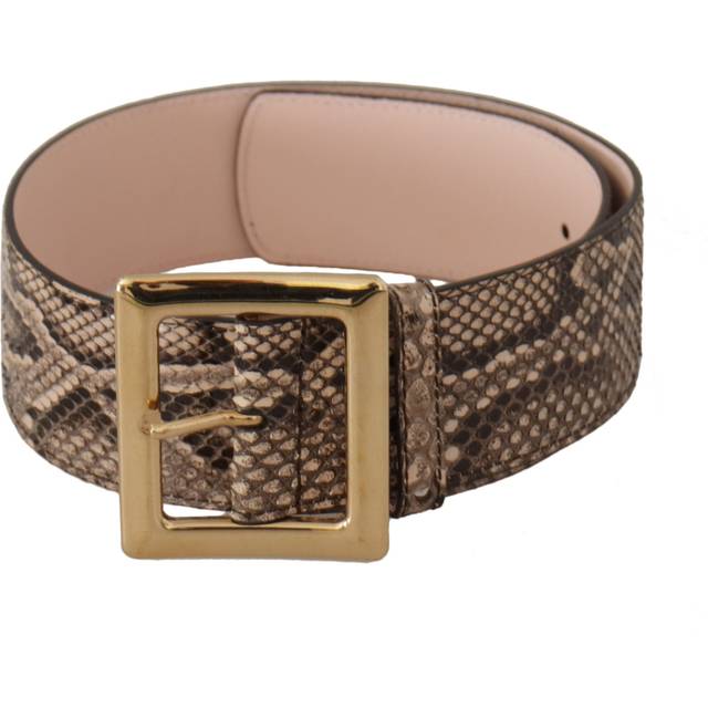 Dolce & Gabbana Beige Exotic Leather Wide Gold Metal Buckle Belt - 65 cm / 26 Inches - Brown