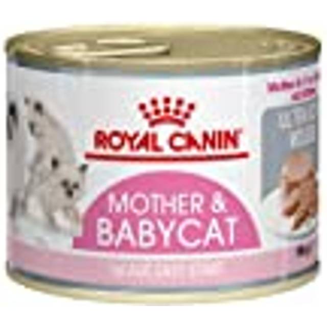 Kunglig kanin första åldern mor och babykatt mousse 12 x 195 g