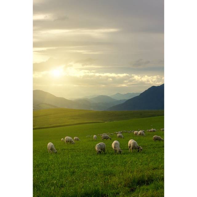 Flock of Sheep Grazing in a Green Pasture at Sunrise (30cm H x 20cm W x 3.8cm D)