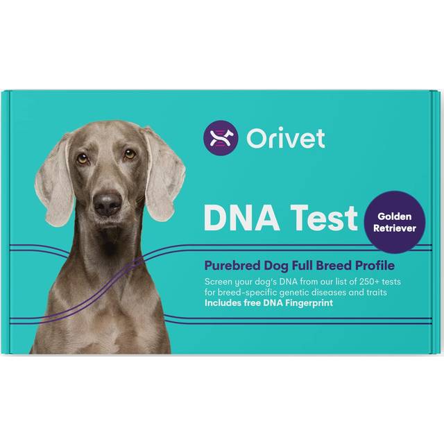 ORIVET Dog DNA Test Kit - Golden Retriever Full Breed Profile | Puppy Testing Against 250+ Medical Health Risks & Traits | Genetic Fingerprint | At