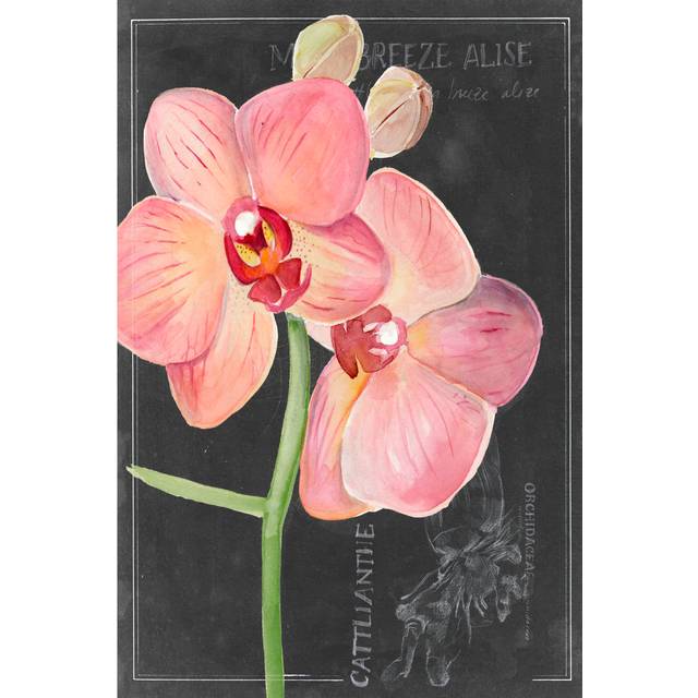 Chalkboard Flower I by Jennifer Paxton Parker - Wrapped Canvas Painting (30cm H x 20cm W x 3.8cm D)