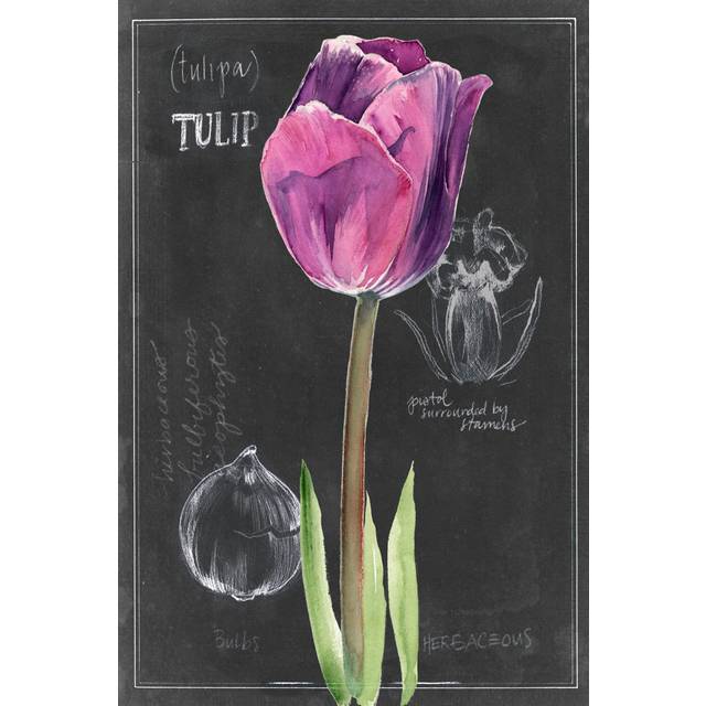 Chalkboard Flower IV by Jennifer Paxton Parker - Wrapped Canvas Painting (76cm H x 51cm W x 3.8cm D)