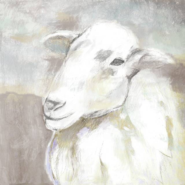 Pastel Sheep Portrait - Wrapped Canvas Painting (91cm H x 91cm W)