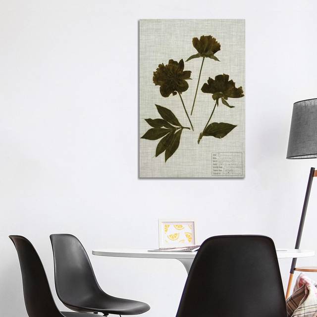 Pressed Leaves on Linen by Vision Studio - Wrapped Canvas Art Prints (101.6cm H x 66.04cm W)