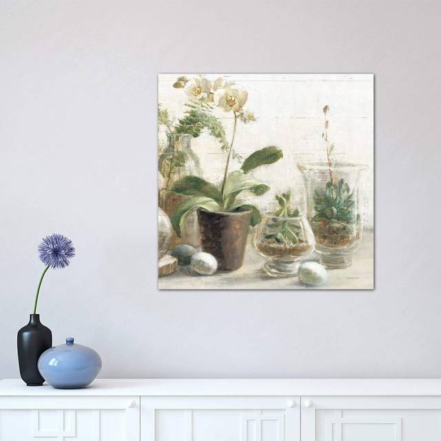 Greenhouse Orchids on Shiplap III by Danhui Nai - Wrapped Canvas Graphic Art Print (45.72cm H x 45.72cm W x 1.91cm D)