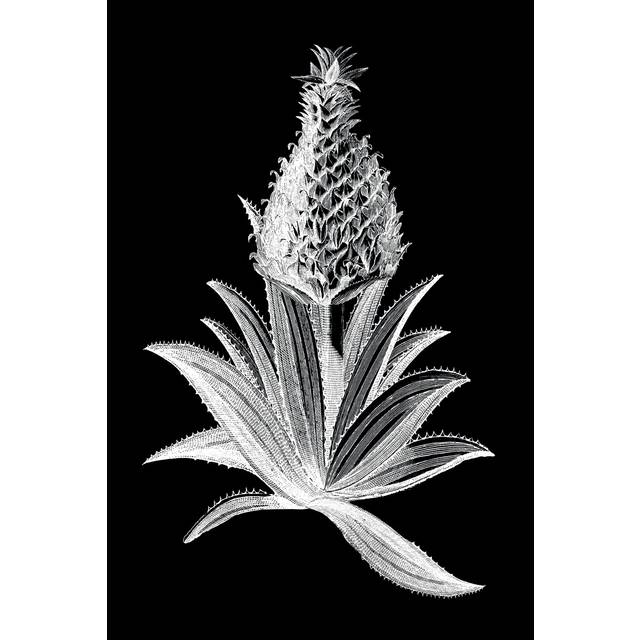 Pineapple Noir I by Vision Studio - Wrapped Canvas Graphic Art (76cm H x 51cm W)